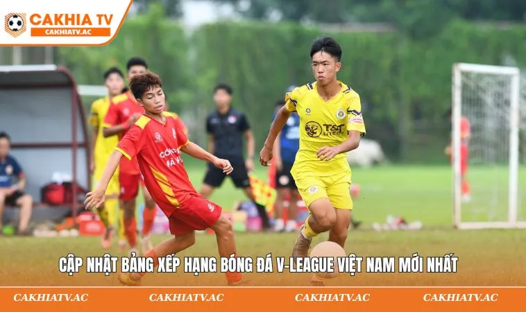 Bảng Xếp Hạng Bóng Đá V-League Việt Nam 2025/2026 Mới Nhất 1 Cập nhật bảng xếp hạng bóng đá V-League Việt Nam mới nhất